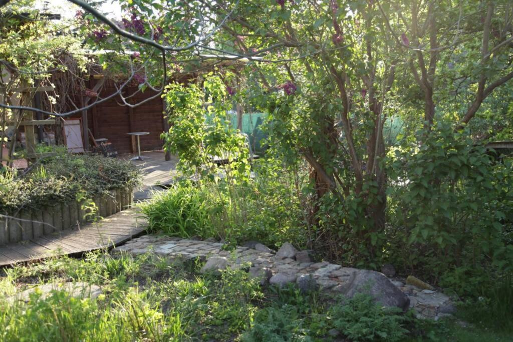 Ferienwohnung In Peetzig Am See Angermunde Buitenkant foto