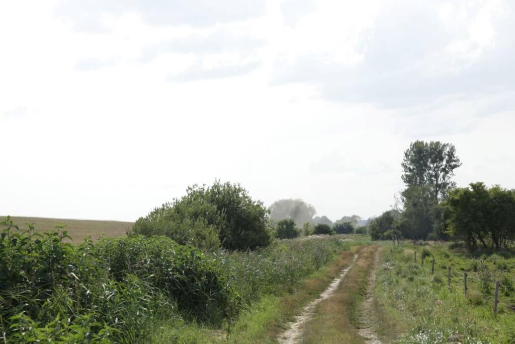 Ferienwohnung In Peetzig Am See Angermunde Buitenkant foto