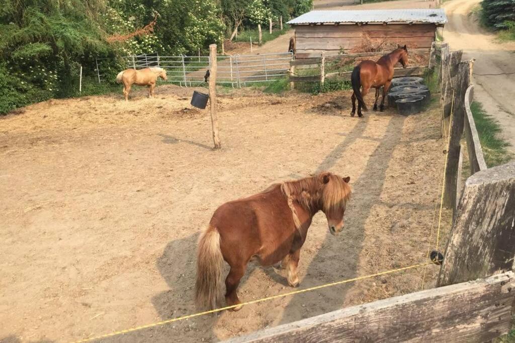 Ferienwohnung In Peetzig Am See Angermunde Buitenkant foto