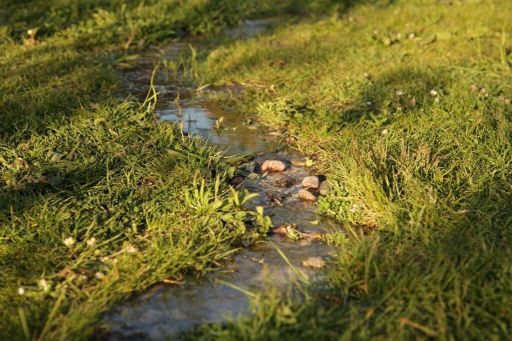 Ferienwohnung In Peetzig Am See Angermunde Buitenkant foto