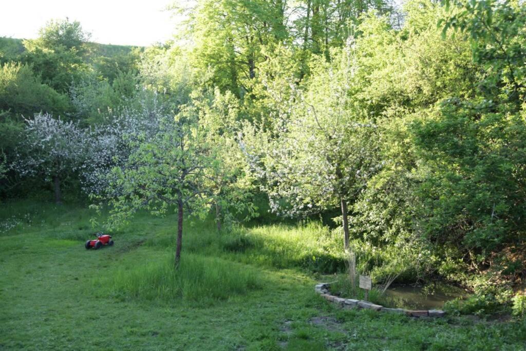 Ferienwohnung In Peetzig Am See Angermunde Buitenkant foto